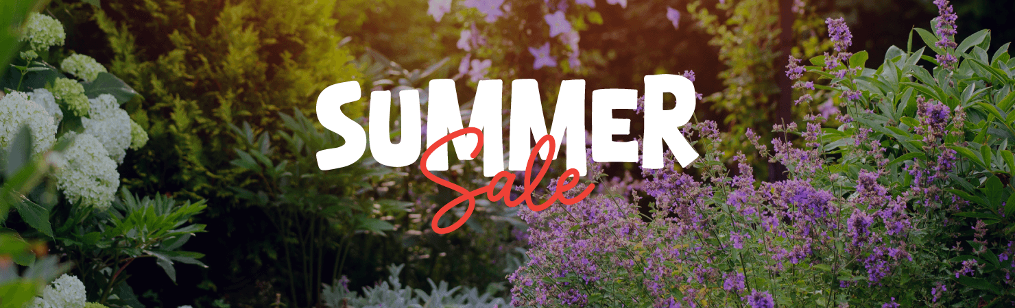 summer-sale-desktop
