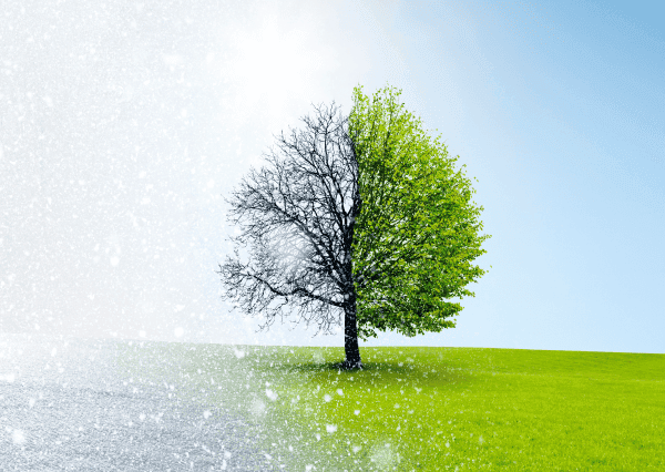 spring-winter-mobile